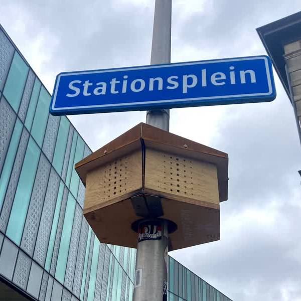 Twaalf nieuwe bijenhotels in Delft: 