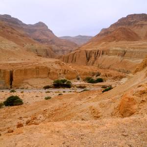 Vrouw uit Delft verongelukt tijdens wandeling in Israël