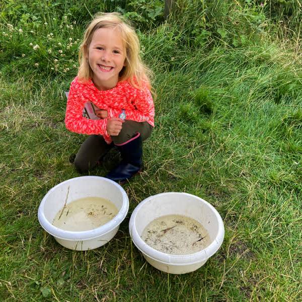 Kinderen ontdekken Delfts waterleven: ‘Geen monster, wel een waterwants’