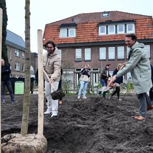 Eerste boom biologische tuin bij Jacob Catsstraat geplant