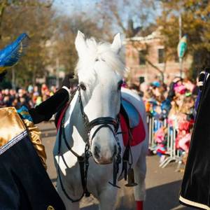 Zwarte Piet: Delftse partijen GroenLinks/D66 en VVD verdeeld over Sinterklaastraditie