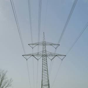 Korte stroomstoring in Poptahof, Tanthof en Voorhof