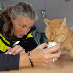 Dierendag op het politiebureau in Delft