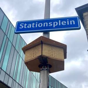 Twaalf nieuwe bijenhotels in Delft: 