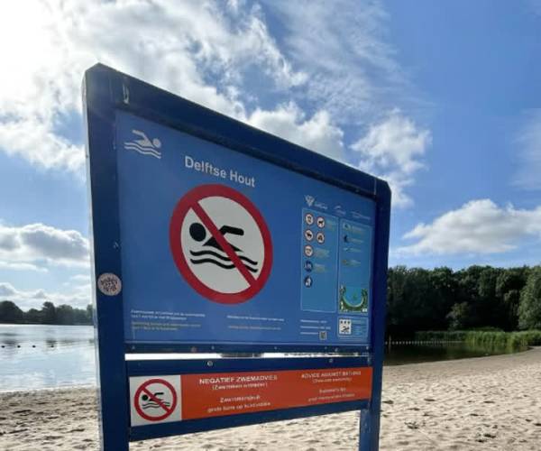 Wéér negatief zwemadvies voor Delftse hout, blauwalg in Grote Plas