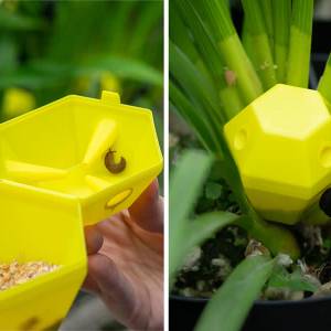 Oud-Delftse studenten ontwerpen gifvrije slakkenval: ‘Grootste aantal was 45 in één nacht’