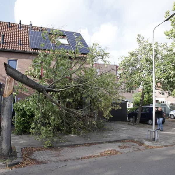 Knakkende bomen en sneuvelende zonneschermen: storm houdt huis in Delft en omgeving
