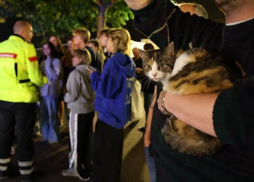 Studentenhuis na brand: "Huiskat Mies ruikt nog naar rook"