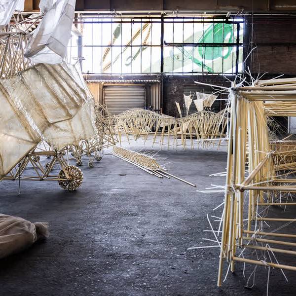 Wereldberoemde strandbeesten krijgen laatste rustplaats in Kabeldistrict