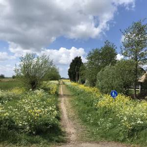 Alle beestjes en plantjes tellen mee: Delft op zoek naar 1500 soorten