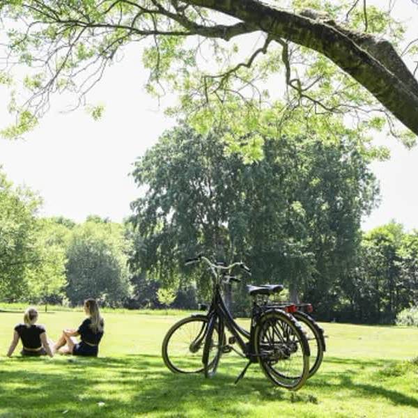 Gratis koffie of een uur kanoën: Delft beloont duurzaam gedrag met nieuwe campagne