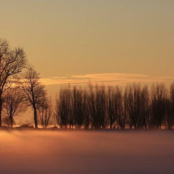 Let op: dichte mist, langzaam rijdend verkeer op (snel)wegen