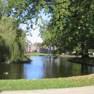 PFAS aangetroffen in Delftse vijvers: Delfland neemt maatregelen