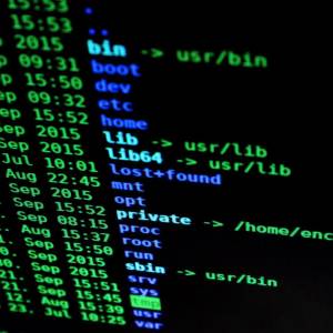 Oproep: onderzoek naar weerbaarheid van Delftenaren tegen cybercrime