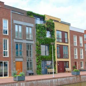 Primeur voor Delft: groene gevel gaat de wereld over