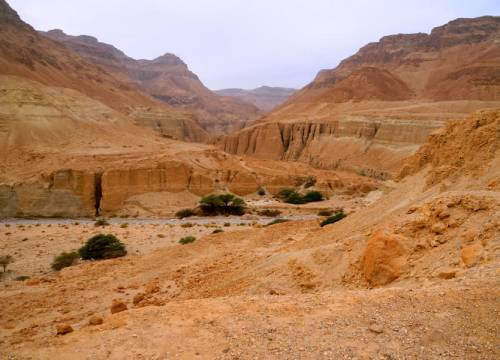 Vrouw uit Delft verongelukt tijdens wandeling in Israël
