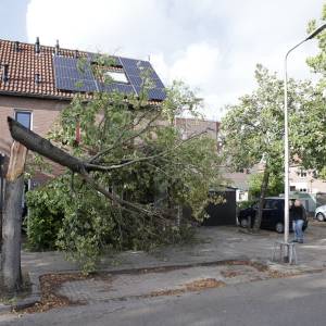 Knakkende bomen en sneuvelende zonneschermen: storm houdt huis in Delft en omgeving