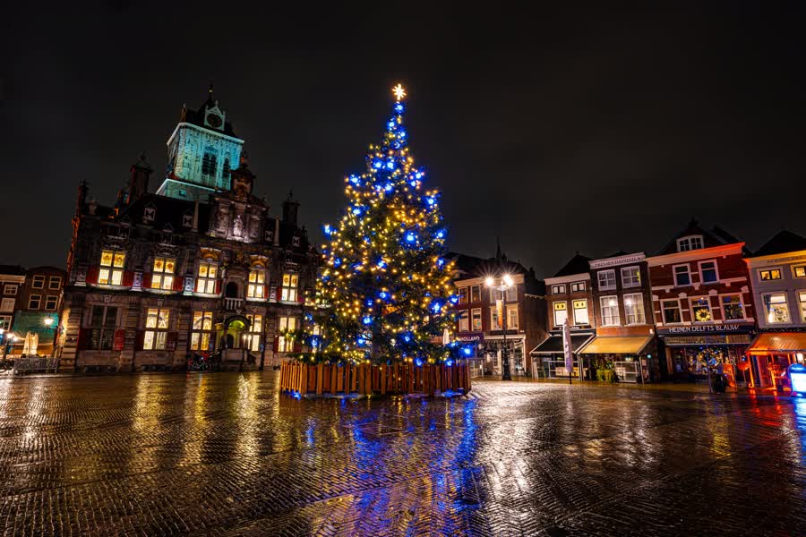 echtgenoot diefstal Konijn Update: kijk online mee naar hoe kerstboom op de Markt wordt verlicht |  Omroep Delft