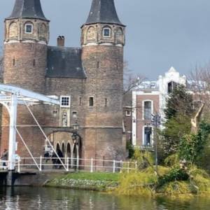 40 jaar oude treurwilg bij de Oostpoort Delft gesneuveld