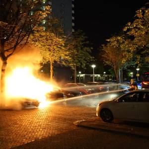 Vlammenzee in Voorhof verwoest Audi van bijna 200.000 euro