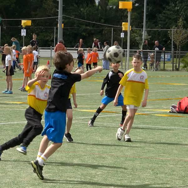 Het Delftse Schoolkorfbaltoernooi: opkomst van 130 teams