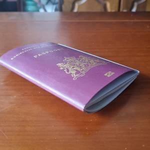 Veel Delftenaren moeten nieuw paspoort aanvragen