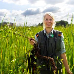 Tanthof's moeras in volle glorie: 'De wijk voor de mensen, de polder voor de rietzanger'