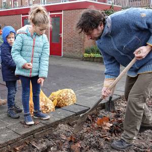 Pleintje van ’t Hartjesveld weer groen, levendig en klimaatbestendig