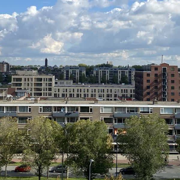 Delft krijgt monument voor slachtoffers corona