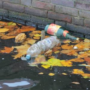 Je buurt in Delft schoonmaken tijdens de Landelijke Opschoondag