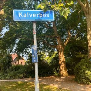 Staalslakken in Delftse Hout en Kalverbos: ‘Kan tot luchtwegproblemen leiden’