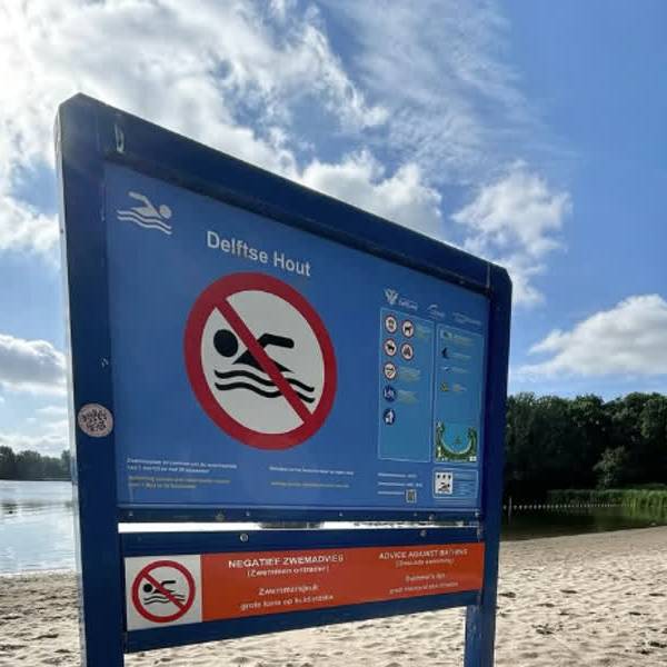 Wéér negatief zwemadvies voor Delftse hout, blauwalg in Grote Plas