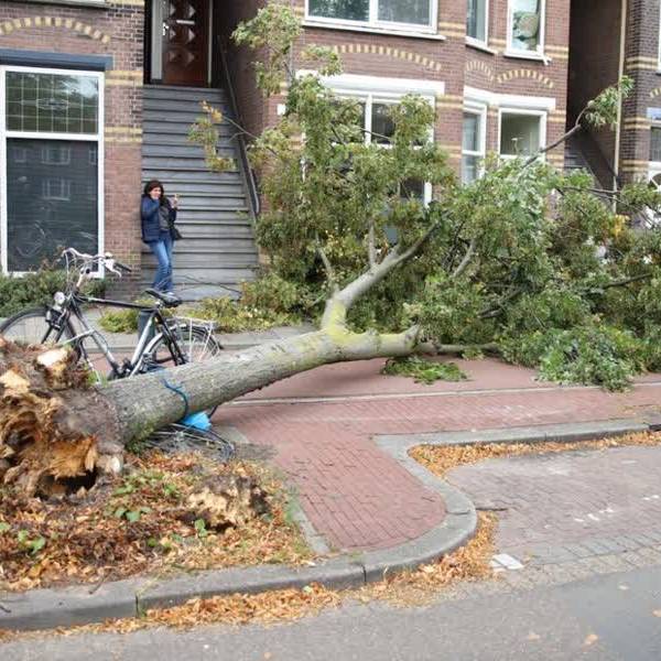 Ex-orkaan Humberto komt eraan, zaterdag code geel voor krachtige windstoten