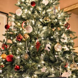 Kerstbomen dit jaar al vóór Sinterklaas veel verkocht in Delft