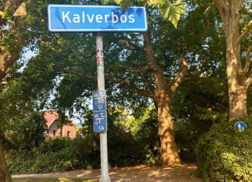 Staalslakken in Delftse Hout en Kalverbos: ‘Kan tot luchtwegproblemen leiden’