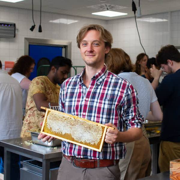 Van dak tot pot: hoe TU Delft haar eigen honing oogst