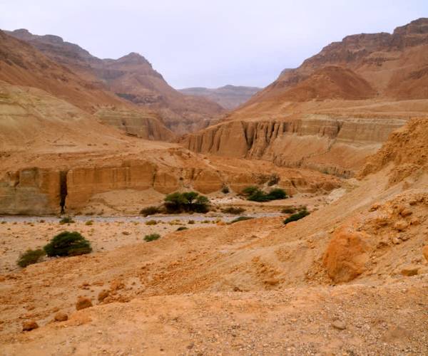 Vrouw uit Delft verongelukt tijdens wandeling in Israël
