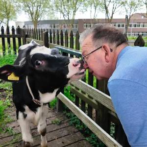 De jaren beginnen te tellen, voor de allerlaatste stadsboer in Delft