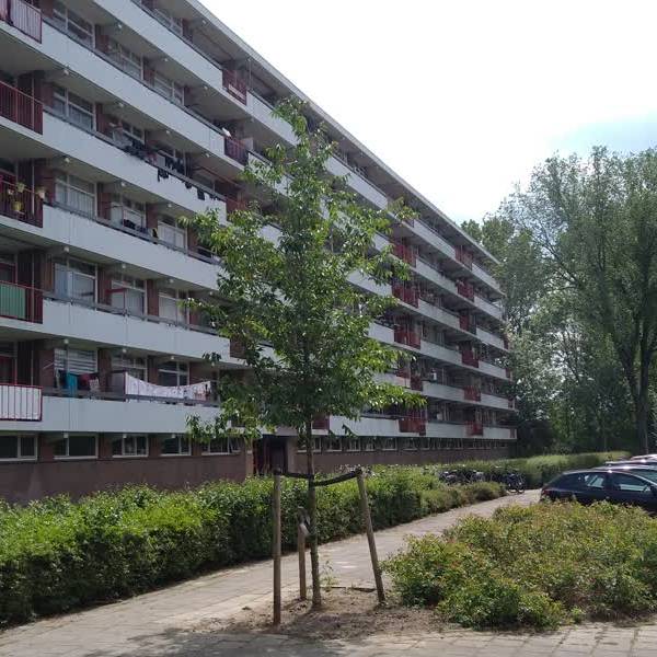 6 miljoen voor moderniseren openbare ruimte Delftse wijken