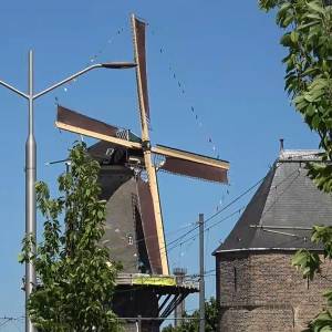 Tien jaar draaiend: Molen de Roos viert jubileum