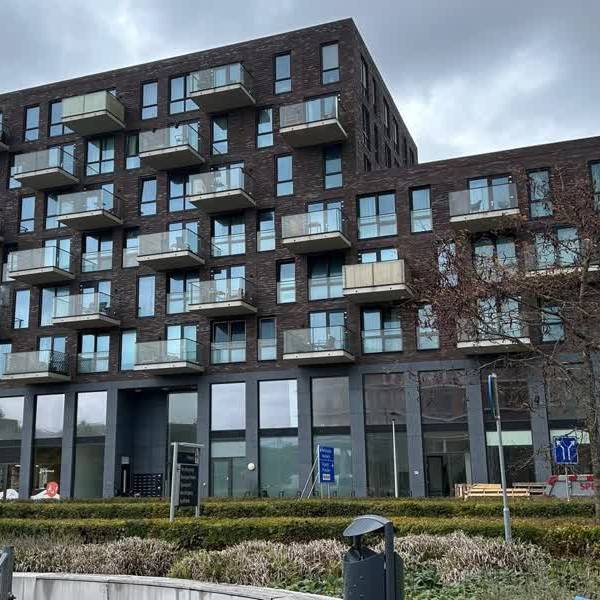 Onrust over nieuwe zorglocatie in Bethelpark: Gemeente buitenspel
