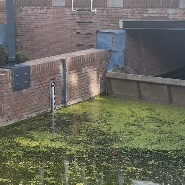 Code geel: hoogwater dreigt in Delft en omgeving