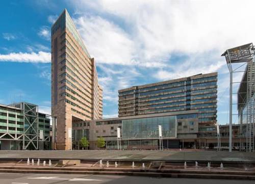 Delftenaar krijgt 1,5 jaar voor doden echtgenote op haar verzoek