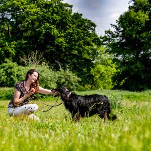 Dierenbuddy Delft zoekt dierenliefhebbers: 