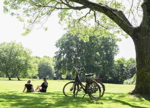 Gratis koffie of een uur kanoën: Delft beloont duurzaam gedrag met nieuwe campagne